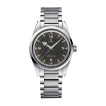Omega Seamaster Railmaster Steel 220.10.38.20.01.002 Masterpiece Replica